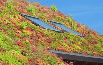 Felton Butler living roof systems